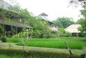 Ananda Cottages